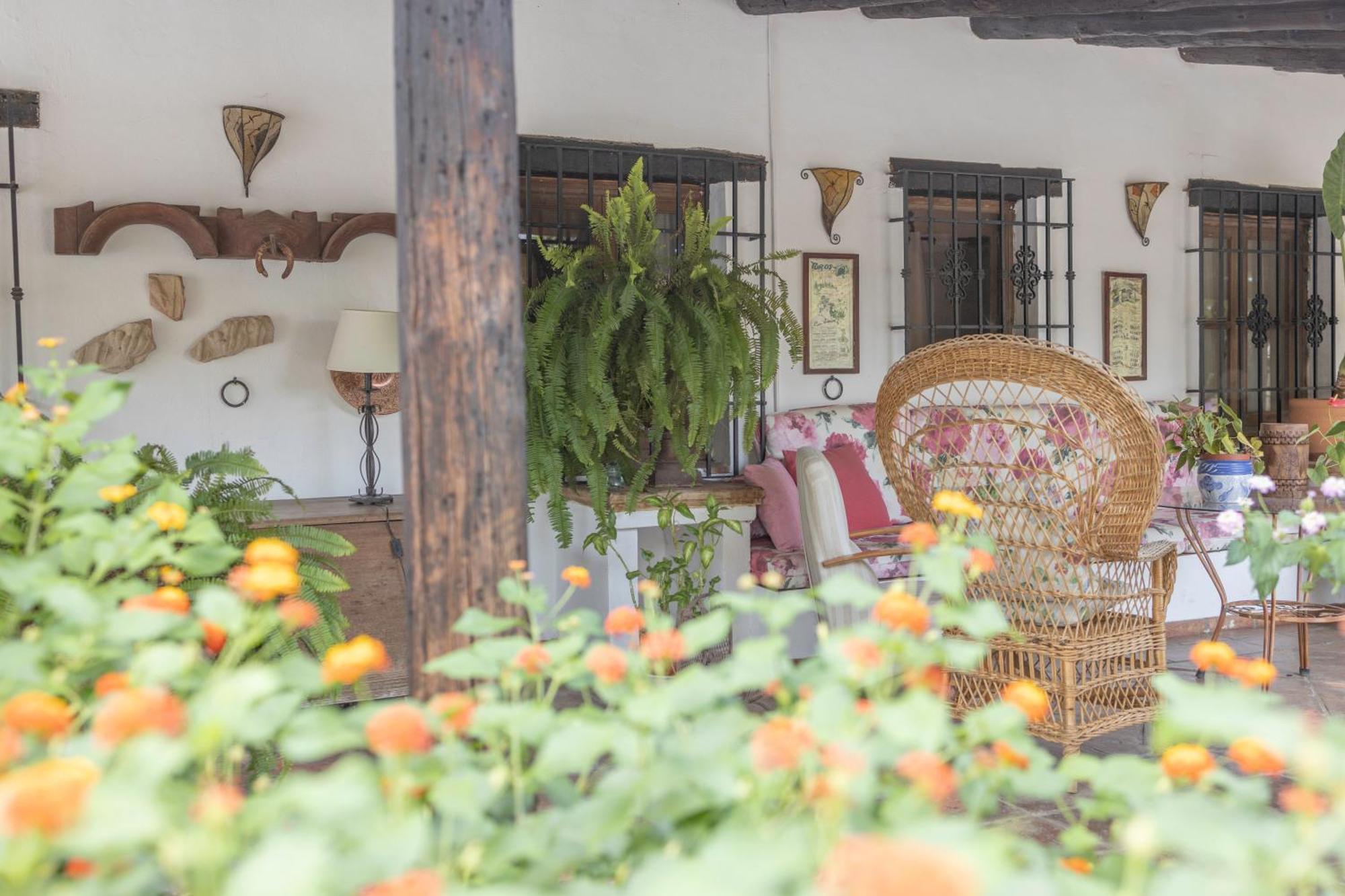 LA CUADRA, Finca privada a los pies de Sierra Nevada, a 10 minutos del centro, Jardín, Barbacoa La Zubia  Exterior foto