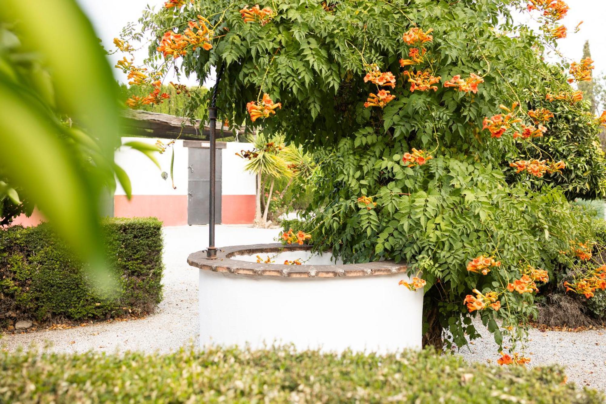 LA CUADRA, Finca privada a los pies de Sierra Nevada, a 10 minutos del centro, Jardín, Barbacoa La Zubia  Exterior foto