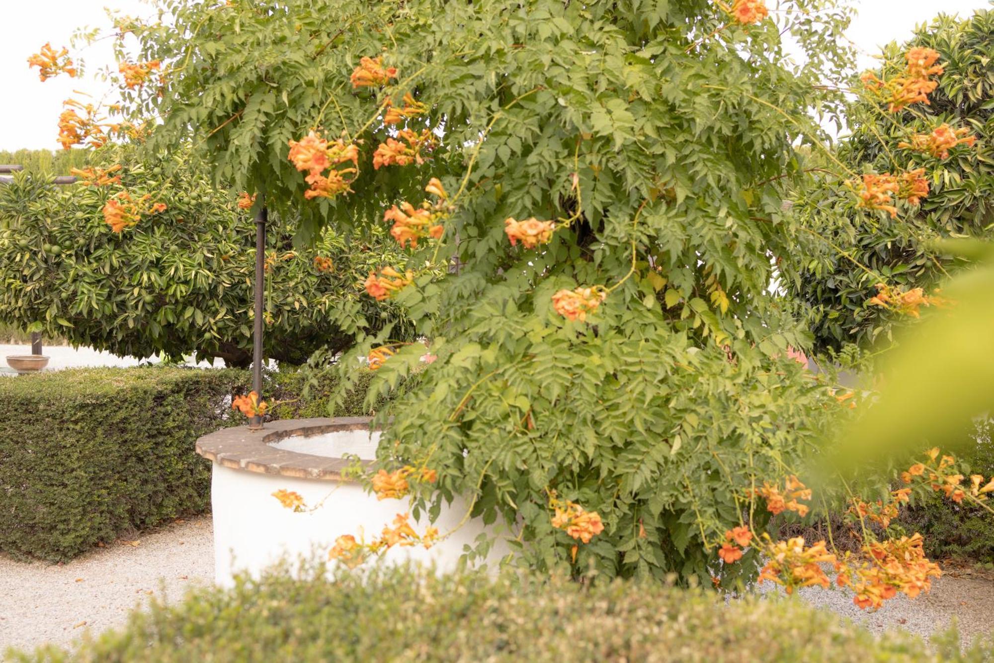 LA CUADRA, Finca privada a los pies de Sierra Nevada, a 10 minutos del centro, Jardín, Barbacoa La Zubia  Exterior foto
