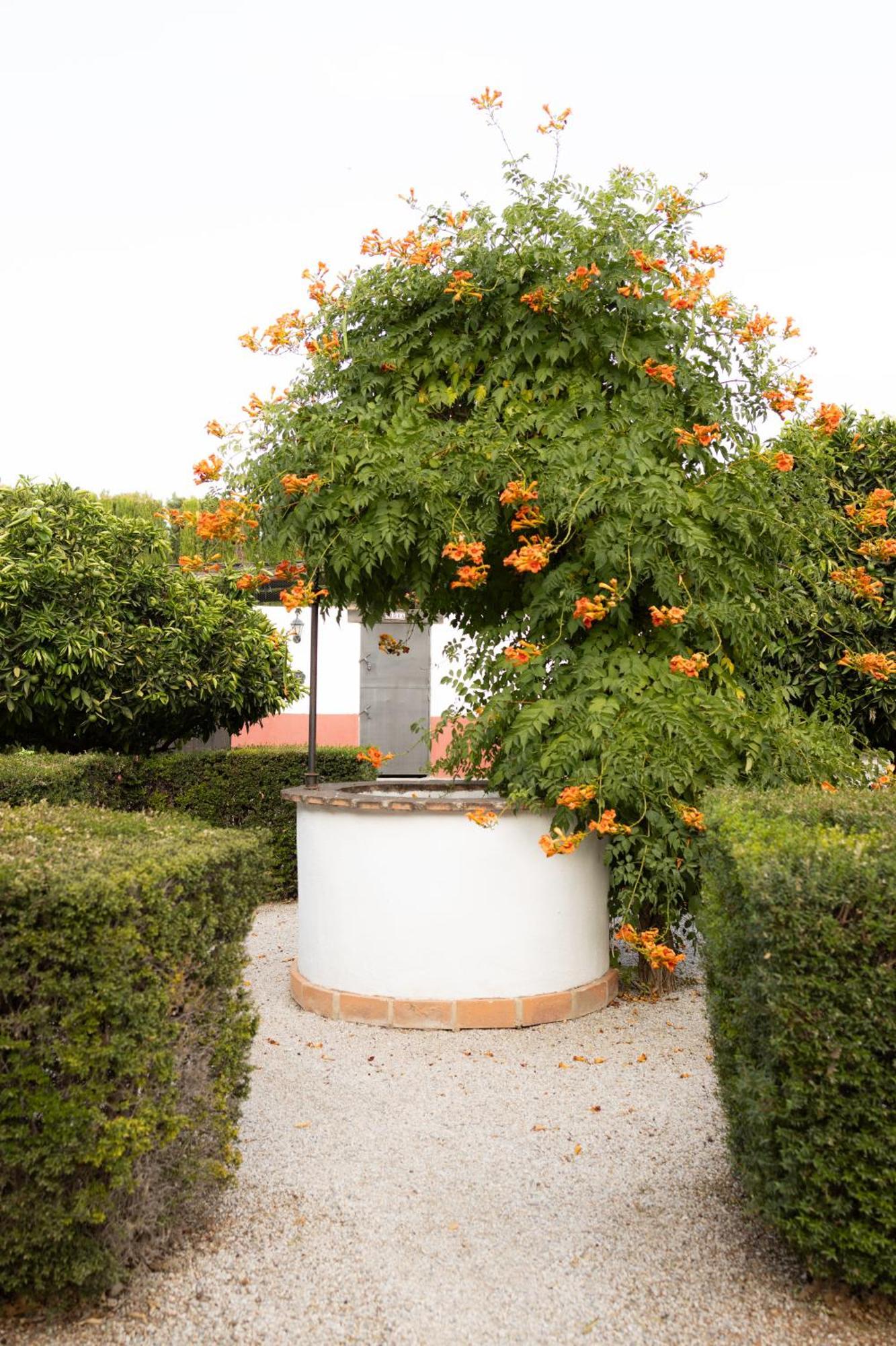 LA CUADRA, Finca privada a los pies de Sierra Nevada, a 10 minutos del centro, Jardín, Barbacoa La Zubia  Exterior foto